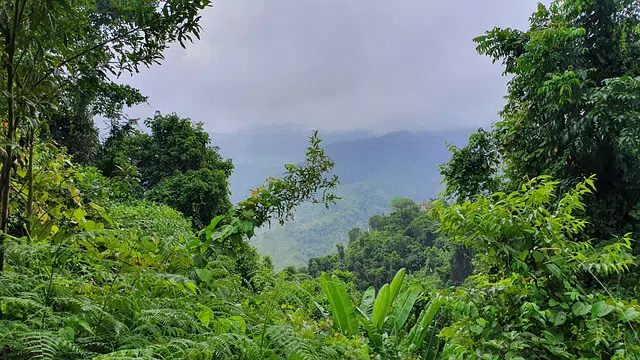  Definición de Ambiente Natural