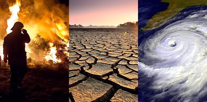 Los efectos del cambio climático
